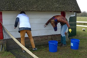 Molen wordt schoon gemaakt.